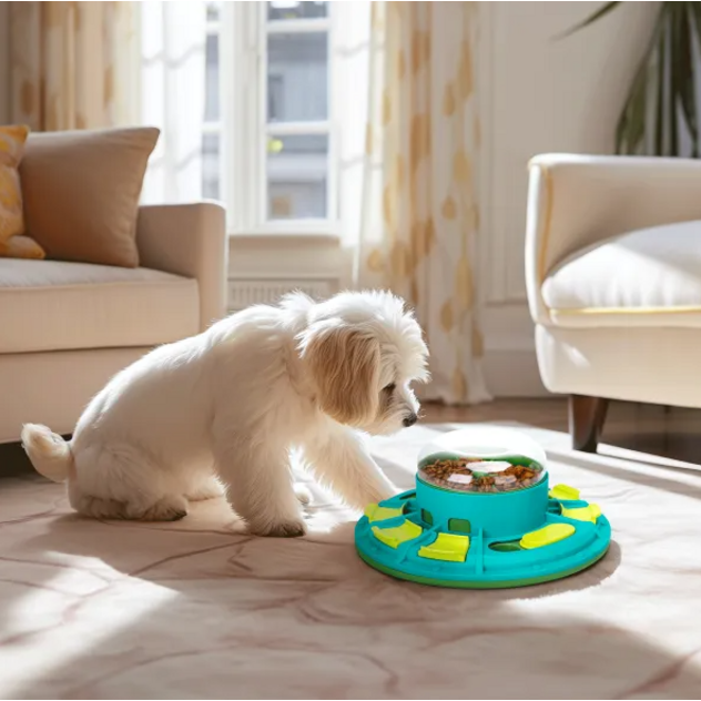 interaktívna hračka 4-